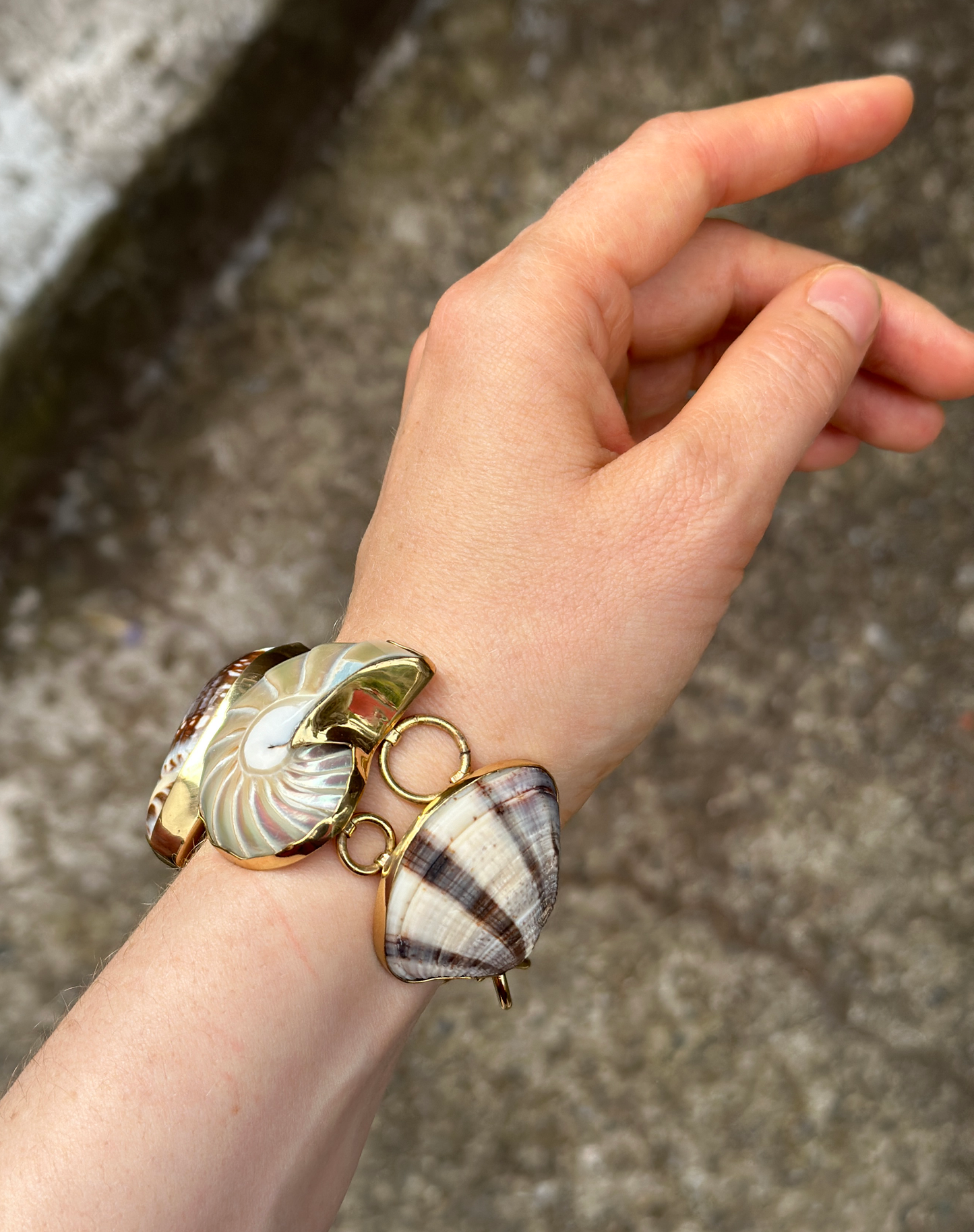 Charles Albert Vintage Shell Bracelet